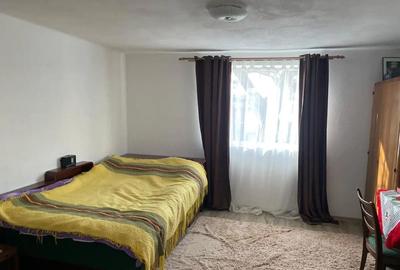 Casă cu 3 camere în Balinț - 4