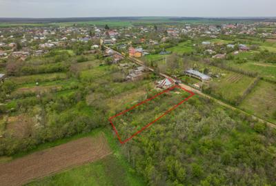 LETCA NOUA, TEREN CONSTRUCTII 1184 MP, FRONT 21 M ! - 5