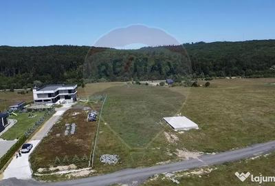 Teren de 3322 mp, în Paltin - 15