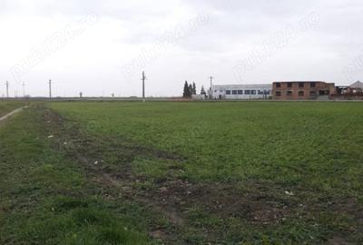 Spațiu comercial, în Cărpiniș - 2