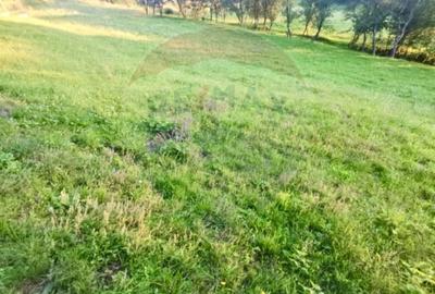 Teren agricol extravilan de 6900 mp, în Breb - 3