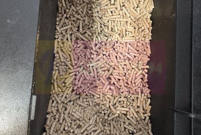 Casă individuală cu 4 camere cu Teren 475 Mp în Valea Doftanei - 16