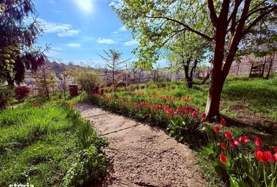 Spațiu comercial, în Nicolina - 5