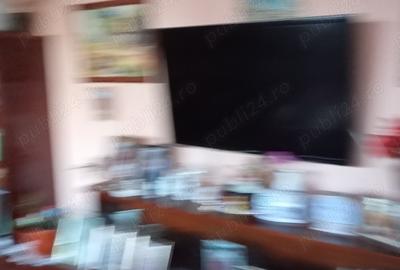 Vand apartament confort I 2 camere, vedere spre faleza, zona sud. - 5