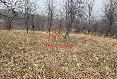 Teren intravilan in Breaza,1358 mp, 40.000e - 17