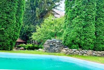 Pensiune cu 13 camere de vanzare in Bulz - 45