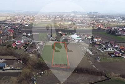 Teren Stupini 5.000 mp - 5