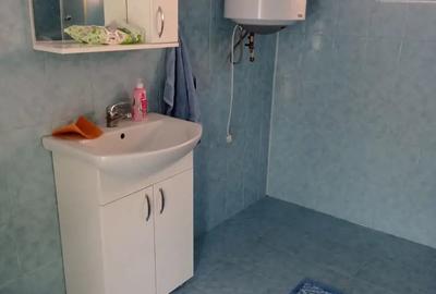 Casă cu 2 camere în Lugoj - 3