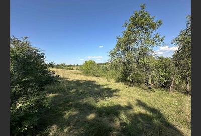 Vânzare teren Reșița: 17260 mp, Calea Caransebeșului - 4