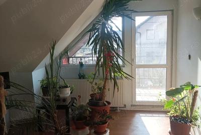 Casă cu 2 camere cu Teren 350 Mp în Bălcescu - 5