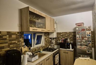Duplex cu 3 camere cu Teren 250 Mp în Berceni - 15