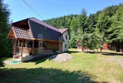 Cabana 4 camere Lunca Bradului - 10