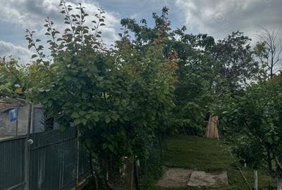 Vand casa in Ceamurlia de sus - 6