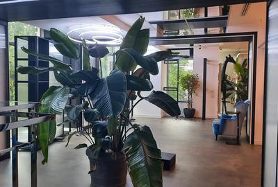 Spațiu comercial, de 403 mp, în Unirii - 2