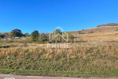 Spațiu comercial, în Hăpria