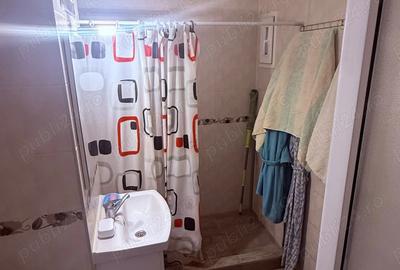 Buzias Timis apartament cu 1 camera de vanzare complet mobilat si izolat - 13