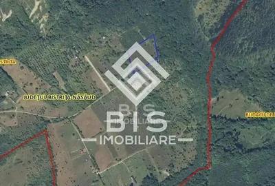 Teren Extravilan - 10'000 Mp - Valea Budacului (Bistrita) - 4