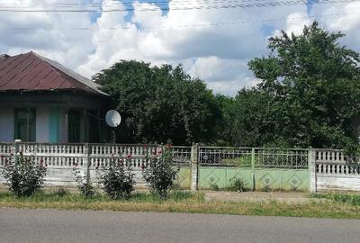 Casă cu Teren 3000 Mp în Râmnicelu - 2