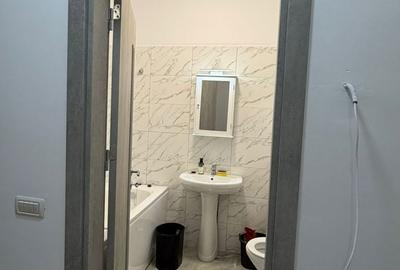 Apartament cu 2 camere decomandat în Roșu - 19