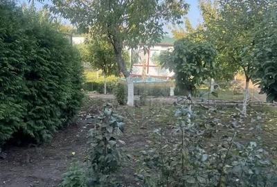 VILA CU 6 CAMERE - 4