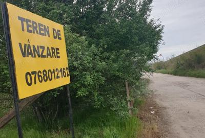 Teren de 1000 mp, în Ișalnița