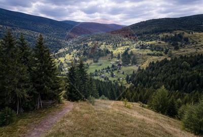 Teren Construcții intravilan de 6500 mp, în Arieșeni - 6