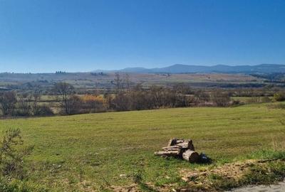 Teren de 3000 mp, în Central - 6