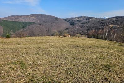 Spațiu comercial, în Damiș - 2