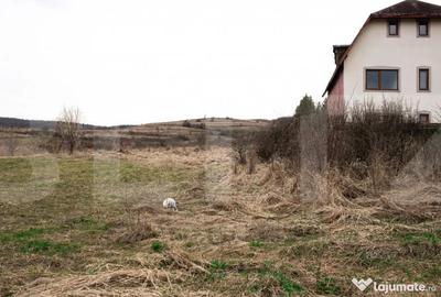Teren în Borhanci - 4