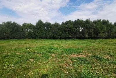 Vand casa in Va?cau?i, Siret, Suceava - 8