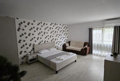 Casă cu 1 camere cu Teren 48 Mp în Mofleni - 1