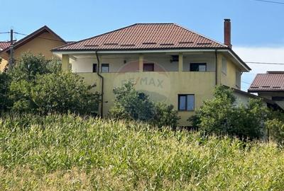 Casa spatioasa in Ciritei, gata de mutat - 3