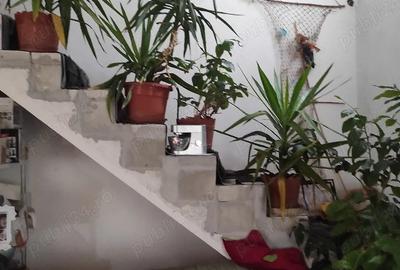 Casă cu 3 camere cu Teren 315 Mp în Central - 6