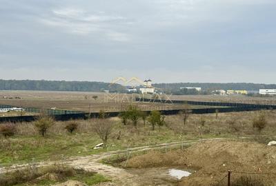 Vila Individuala Exclusivista 6 camere *525mp* // Pipera - Scoala Americana Vila Individuala Exclusivista 6 camere *525mp* // Pipera - Scoala Americana - 59