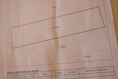 Teren de 2241 mp, în Crivobara - 7