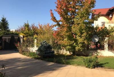 Vila Pipera D+P+1+M, 2004 Vila Pipera D+P+1+M, 2004 - 23