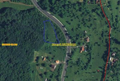 Teren extravilan de 3415 mp, în Luncoiu de Sus - 4