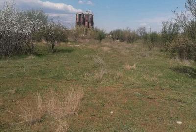 Vanzare proprietate industriala - 88.644mp Caracal si Comuna Plesoiu - Olt - 5