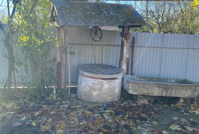 Casa de vanzare in Burila Mare - 5