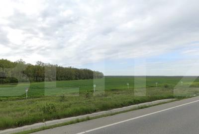 Teren extravilan, 8,7 ha, deschidere E79, zona Podari - 3