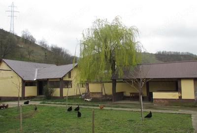 Casă cu 3 camere cu Teren 2900 Mp în Vețel - 12