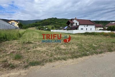 Teren de 2984 mp, în Micești - 1