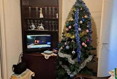 Apartament cu 3 camere decomandat în Micro 15 - 2