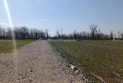 Terenuri Intravilane Industriale - 50 E mp - Sos. Oltenitei DN 4 / Autostrada A0 - 3