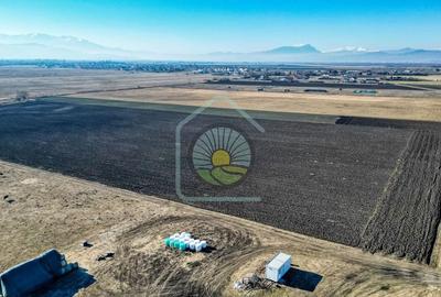 TEREN STUPINI-COMISION 0 - 6