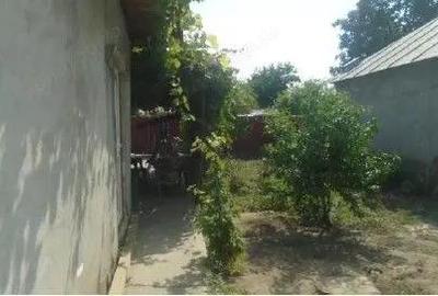 Casa si teren cota parte 1/2, Gropeni, ID: R2733382 - 5