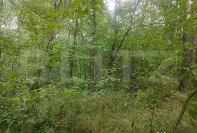 Teren de 5857 mp, în Horodnic - 5