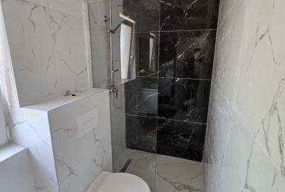 Duplex pe parter Mosnita Noua - 10