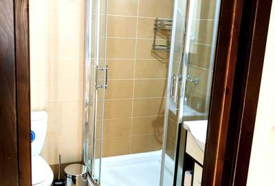 Apartament cu 2 camere decomandat în Central - 7