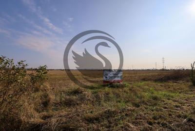 Teren agricol extravilan de 5050 mp, în Blejoi - 4